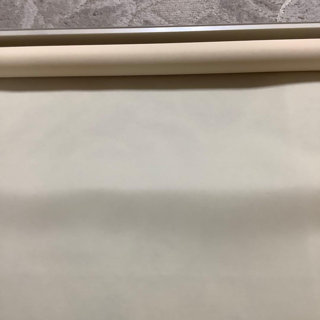 Cream colored polyester roll screen